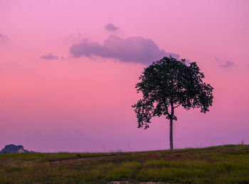 Silhouette tree on field against sky during sunset