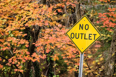 Close-up of road sign against trees