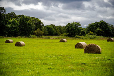 Hay bales on field against sky