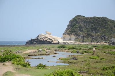 Scenic view of sea against clear sky