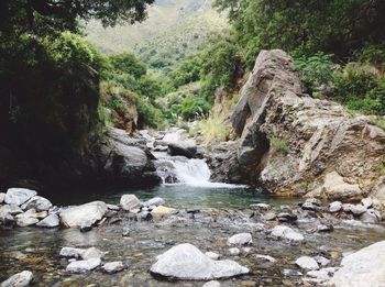 Scenic view of waterfall in forest