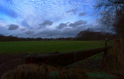 Scenic view of field against sky