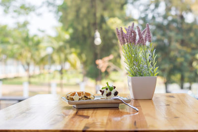 Potted plant on table
