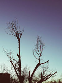 Low angle view of bare trees against clear blue sky