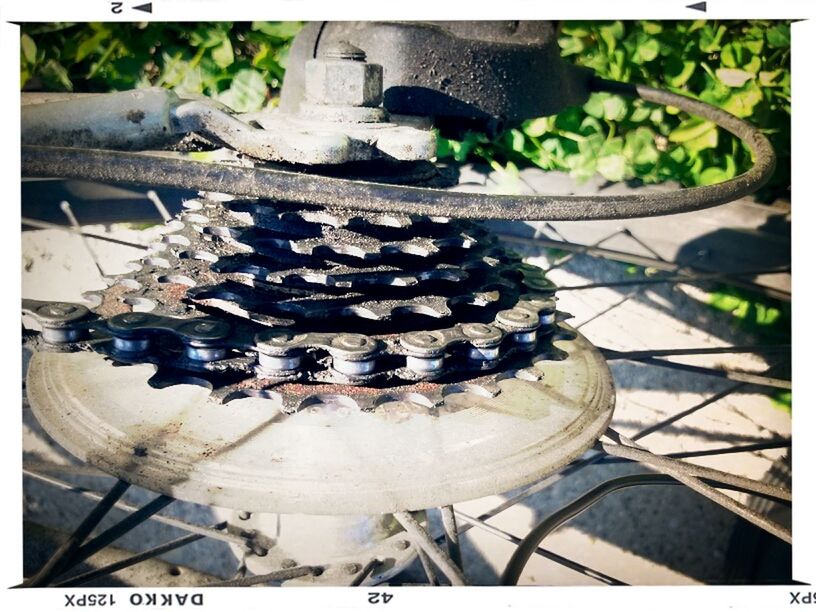 transfer print, auto post production filter, close-up, high angle view, day, sunlight, metal, outdoors, no people, abandoned, damaged, plant, old, focus on foreground, rusty, frame, obsolete, potted plant, animal representation