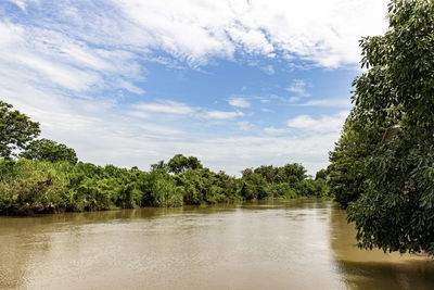 A picture of a riverside landscape in thailand during the day. the sunlight is bright,  blue sky