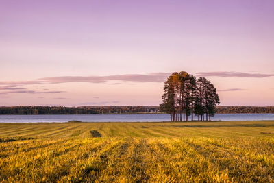 Scenic view of field against sky at sunset