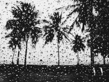 Close-up of water drops on glass