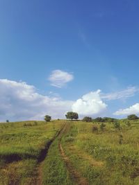 Scenic view of field against sky