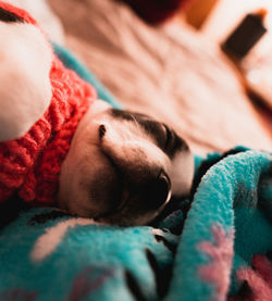 Close-up of baby sleeping on bed