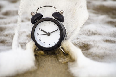 Close-up of alarm clock on shore