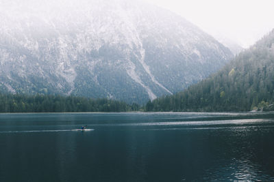 Scenic view of lake in forest