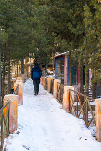 Rear view of woman walking on snow covered forest