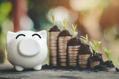 Close-up of piggy bank by stack coins with plants on table