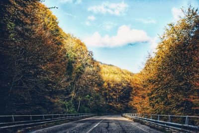 Road amidst trees against sky during autumn