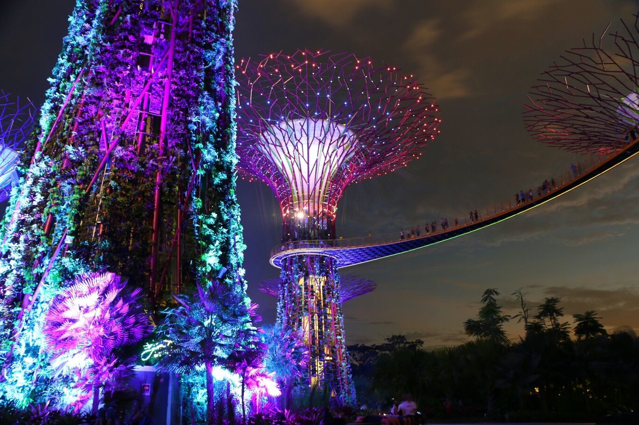 illuminated, night, celebration, arts culture and entertainment, firework display, low angle view, long exposure, exploding, firework - man made object, motion, tree, sky, amusement park, event, amusement park ride, multi colored, ferris wheel, glowing, decoration, sparks