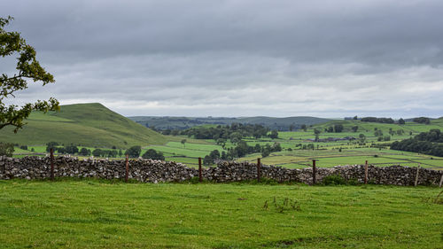 Scenic view of agricultural field against sky