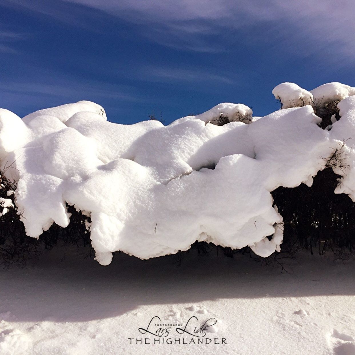 white color, nature, day, sky, tranquility, outdoors, beauty in nature, no people, winter, sunlight, snow, cold temperature, close-up