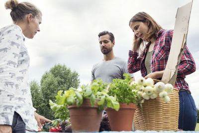 Low angle view of couple selling vegetables to customer at urban garden