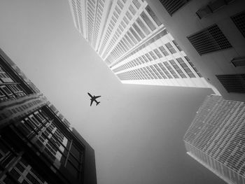 Directly below shot of airplane flying amidst buildings