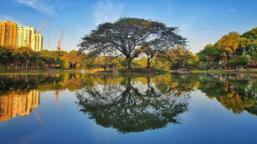 Reflection of trees in lake against sky