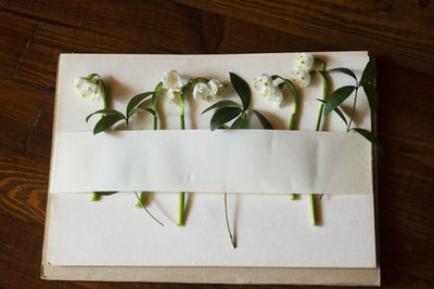 High angle view of food on table