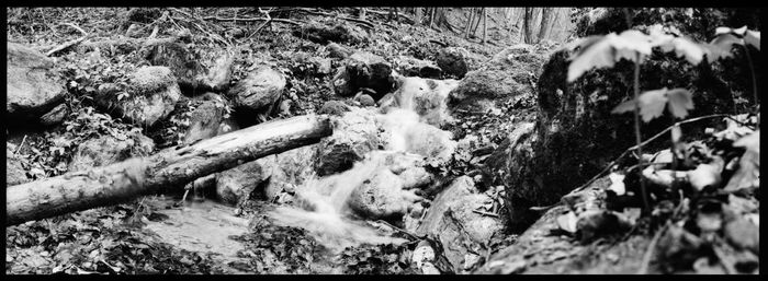 River flowing through rocks