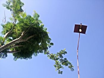 Low angle view of street light against blue sky