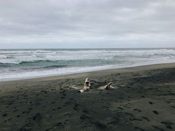 Scenic view of beach by sea against sky