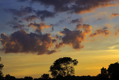 Low angle view of silhouette trees against dramatic sky