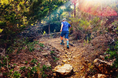 Rear view of man walking in forest