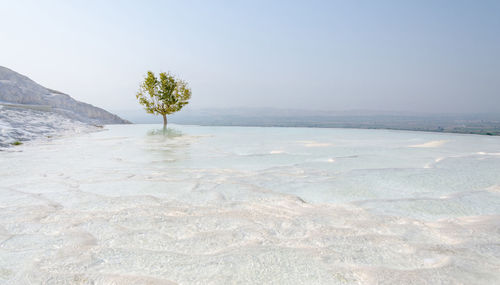 Pamukkale, izmir