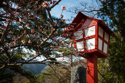 Low angle view of birdhouse on tree against sky