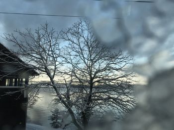 Close-up of bare tree against sky