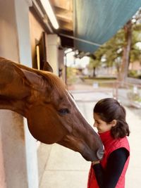 Horse in love