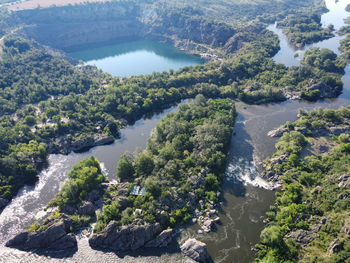 High angle view of river amidst trees in forest