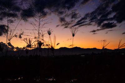 Silhouette of landscape at sunset