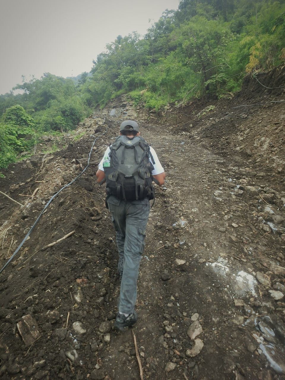 REAR VIEW OF PEOPLE WALKING ON FOOTPATH IN FOREST