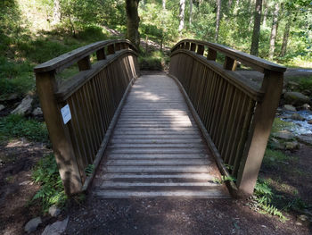 Boardwalk in forest