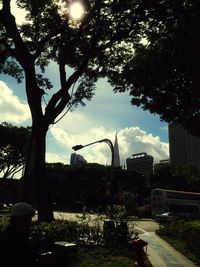 Trees in city against sky