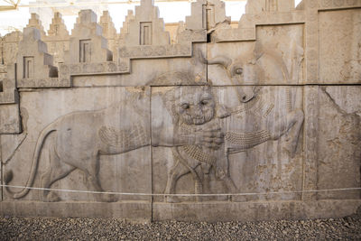 View of animal representation on wall
