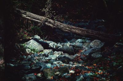 Aerial view of night