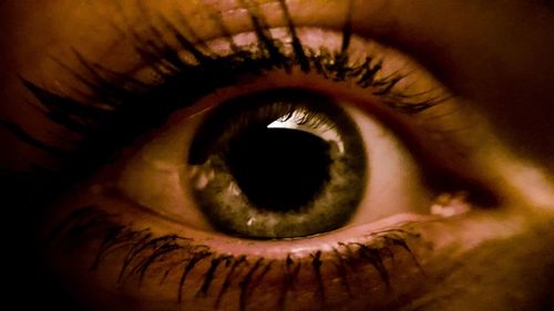 Close-up portrait of human eye