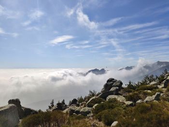 Sea of clouds over mountain peaks