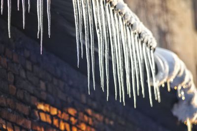 Low angle view of icicles on roof