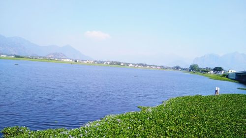 Scenic view of sea by city against sky