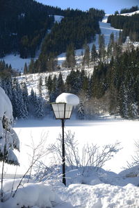 Scenic view of snow covered mountain