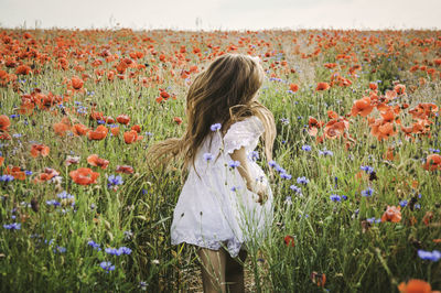 Close-up of poppy flowers on field