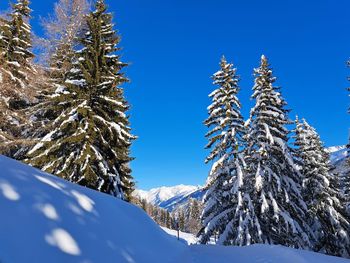 snow