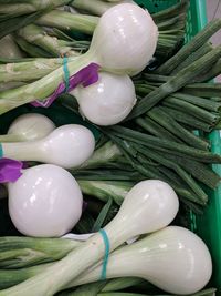 High angle view of eggs in container